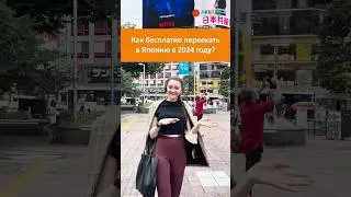 Как бесплатно переехать в Японию в 2024 году?  