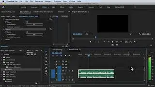Remove Background Noise#Adobe Premiere Pro Complete Video Editing Masterclass Udemy