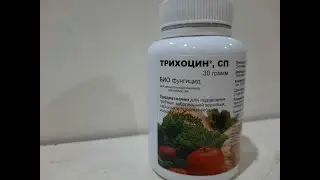 Трихоцин. Борьба с грибными заболеваниями, на овощных и плодово- ягодный культурах.