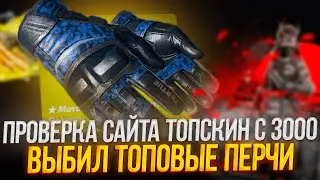 ПРОВЕРКА САЙТА С 3000 РУБЛЕЙ! TOPSKIN! ВЫБИЛ ПЕРЧАТКИ НА ТОПСКИН! ПРОМОКОД +40% CASE40