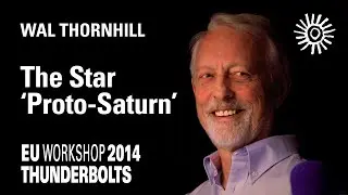 Wal Thornhill: The Star 'Proto-Saturn' | EU Workshop 2014