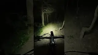 Night ride sightings #magicshine #nightrides #mtb #spookywoods