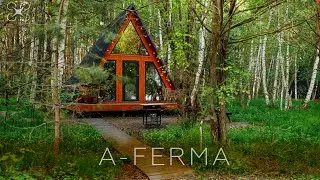 #DJIAir2S Полёт над A-Ferma Летом. Авсюнино