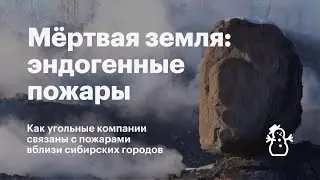 Как угольные компании связаны с пожарами вблизи сибирских городов