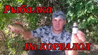 Рыбалка на поплавок в Августе 2022! Ловля карася на КОРВАЛОЛ.