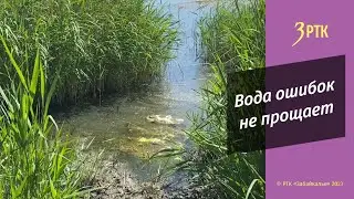 Длинные волосы могут спасти утопающих