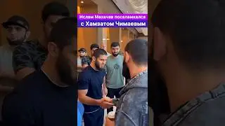 Ислам Махачев и Хамзат Чимаев пожали руки! Хасбик пришёл наводить порядок.