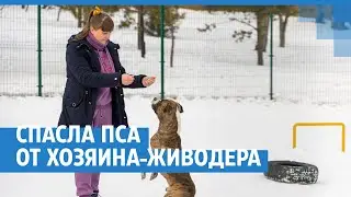 Спасла пса от хозяина-живодера | NGS24.ru