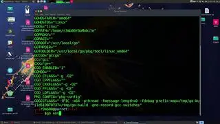 How to use GREP with Golang Environment Displaying