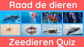 Raad de zeedieren: avontuurlijke woordenquiz voor kinderen