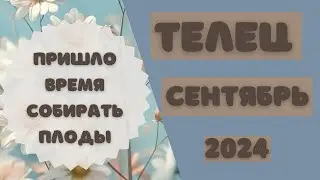 ТЕЛЕЦ♉️ СЕНТЯБРЬ 2024 [Таро прогноз]