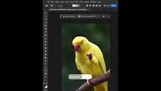 How to create vignette in Photoshop