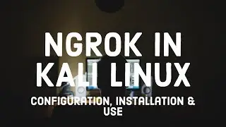 How to Install & Configure NGROK in Termux/Kali Linux 2020?