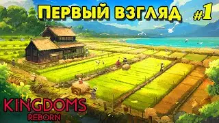 Первый взгляд в Kingdoms Reborn @VadimSenna  #KingdomsReborn