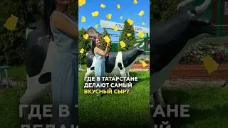 Татарский сыр: от Пошехонского до Пармезана. Почему все так любят «Азбуку сыра»? #мамадыш #татарстан