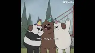 habibi gang. 