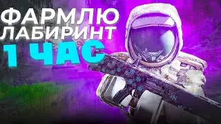 ФАРМЛЮ ОДИН ЧАС ЛАБИРИНТ И ВОТ ЧТО ВЫШЛО! В сталкрафт/StalCraft