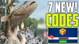 💥New Gift Codes💥Fishing Clash Codes 2024 | Fishing Clash New Gift Code | Fishing Clash Gameplay