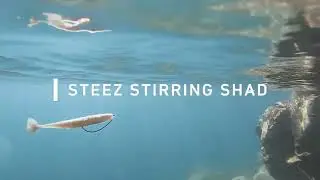 Daiwa Steez Stirring Shad swimming action