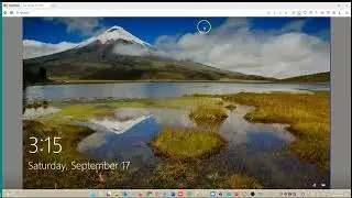 Remote Desktop and Quick Assist