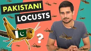 Locust Attack in India | Explained by Dhruv Rathee