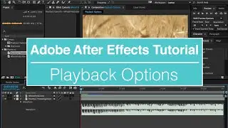 How to Play a Composition in After Effects Tutorial