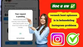 Hoe u uw verzoek is in behandeling Instagram-probleem kunt oplossen | Uw verzoek is in behandeling