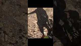 Yamaha Tenere 700 vs Rocks. 0:1 #advmoto #tenere #эндуро #offroad #yamaha