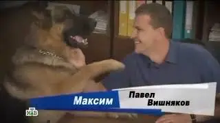 Возвращение Мухтара заставка