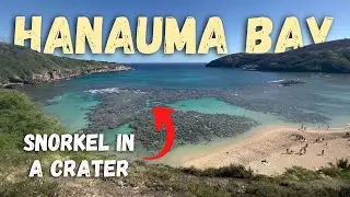 Hanauma Bay Adventure | Luckiest Day Ever Snorkeling at Hanauma Bay