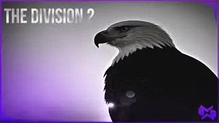 The Division 2 | В ПОИСКАХ ОРЛА | Серия 11