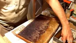 Пчеловодство. Как подсадить матку из пересылочной клеточки в отводок. Beekeeping