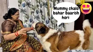 Tyzuu’s insane love for Rain ❤️🌧️ | Intense Barking