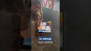 Кот научился пользоваться Айпадом и теперь... 🐱