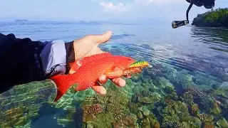 Lama tidak datang ke spot ini ternyata bermain pinggiran bisa dapan ikan ini || Ultraligh Casting