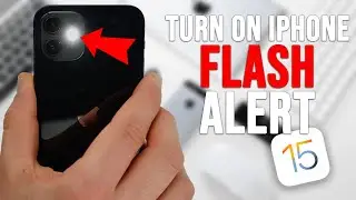 How to turn on Flash Notification/Alerts on iPhone [2023]