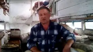 Аскосфероз пчёл  , способы лечения