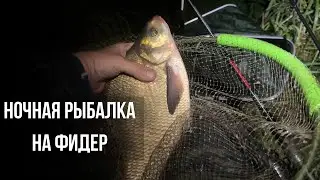 НОЧНОЙ ЛЕЩ ВЗЯТ! Рыбалка на фидер осенью