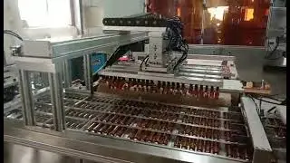 New choice for efficient packaging: automatic blister packaging machine demonstration video