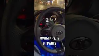 МУЛЬТИРУЛЬ В ЛАДУ ГРАНТУ 