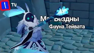 Фауна Тейвата, Маг Бездны