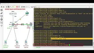CCNA Cisco Basic Switch VLAN Configuration Step by Step Guide