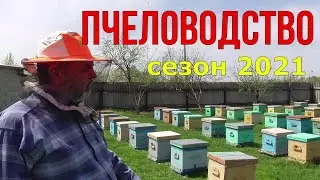 Начало сезона 2021  / в гостях у А П Шаповалова / Пчеловодство. часть 1