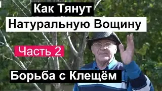 Пасека 