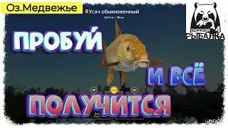 Russian Fishing 4, #РР4...Оз.Медвежье - Усач Обыкновенный. Русская рыбалка 4 #рр4