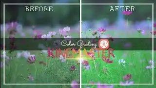 CINEMATIC BASIC COLOR GRADING in KINEMASTER/kinemaster tutorial 2020