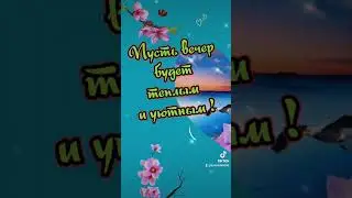Доброго вечера !🌹🦋