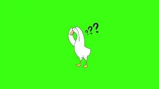 Green screen | Swan | Goose | What have you done? | What to do? | Animation | Footage | №122