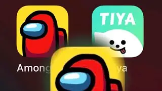 Use TIYA for Voice Chat with AMONG US