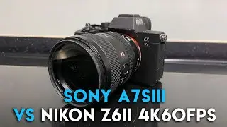 Sony A7SIII vs Nikon Z6II - Preliminary Low Light & 4K60fps Comparison